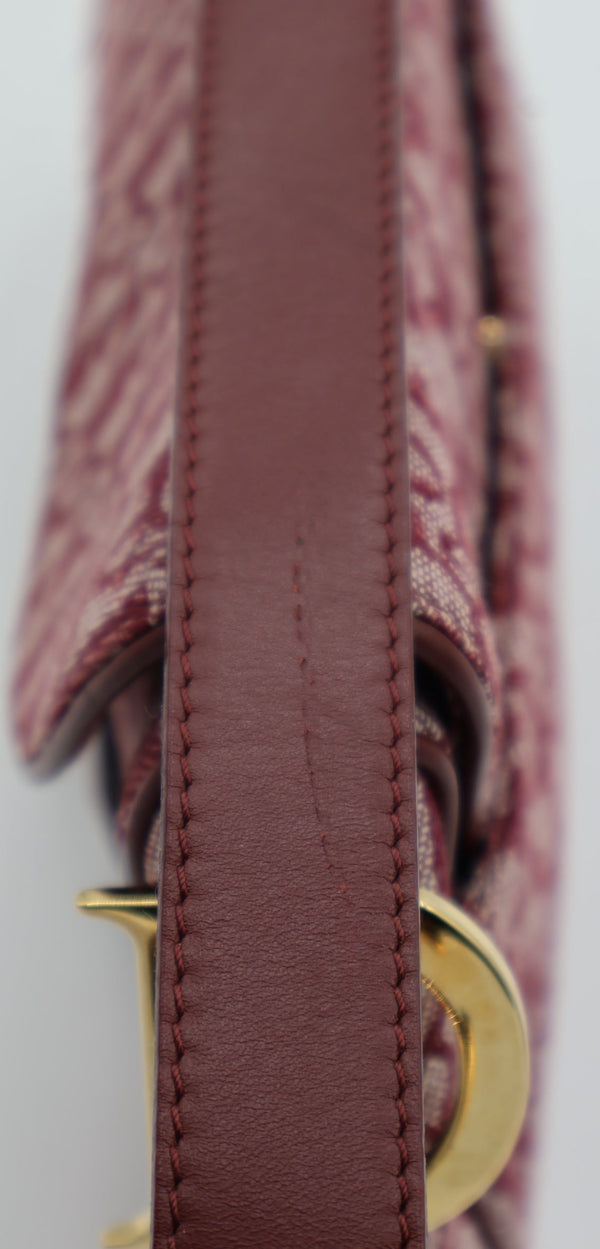 Dior Trotter Double Saddle Bag — Burgundy (Early 2000s)