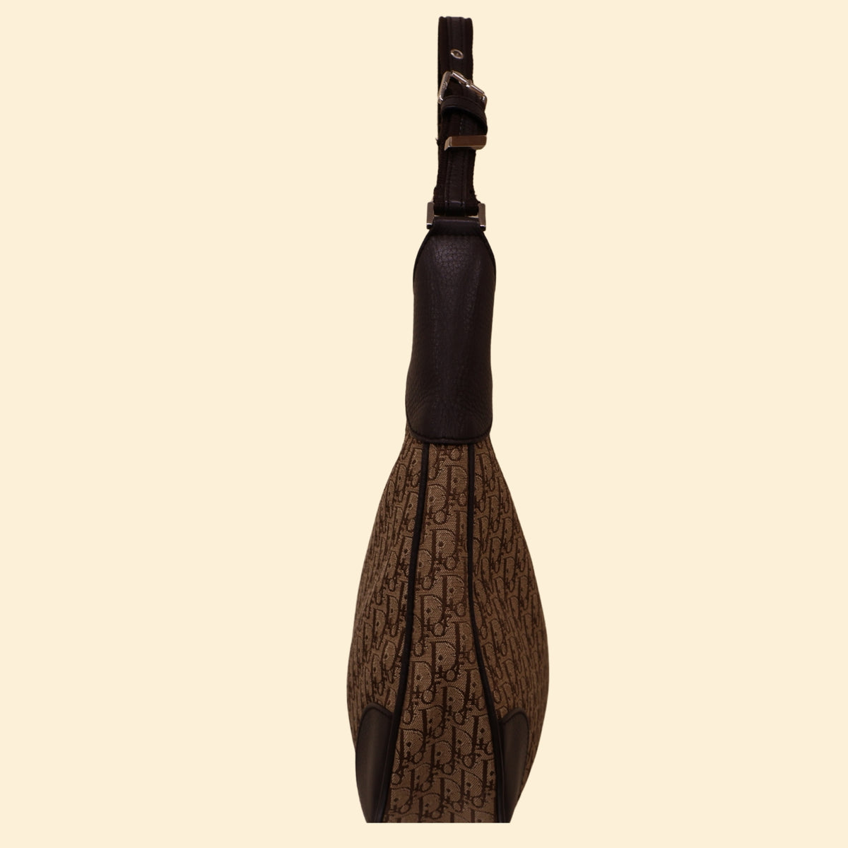 Dior Diorissimo Trotter Canvas Shoulder Hobo Bag
