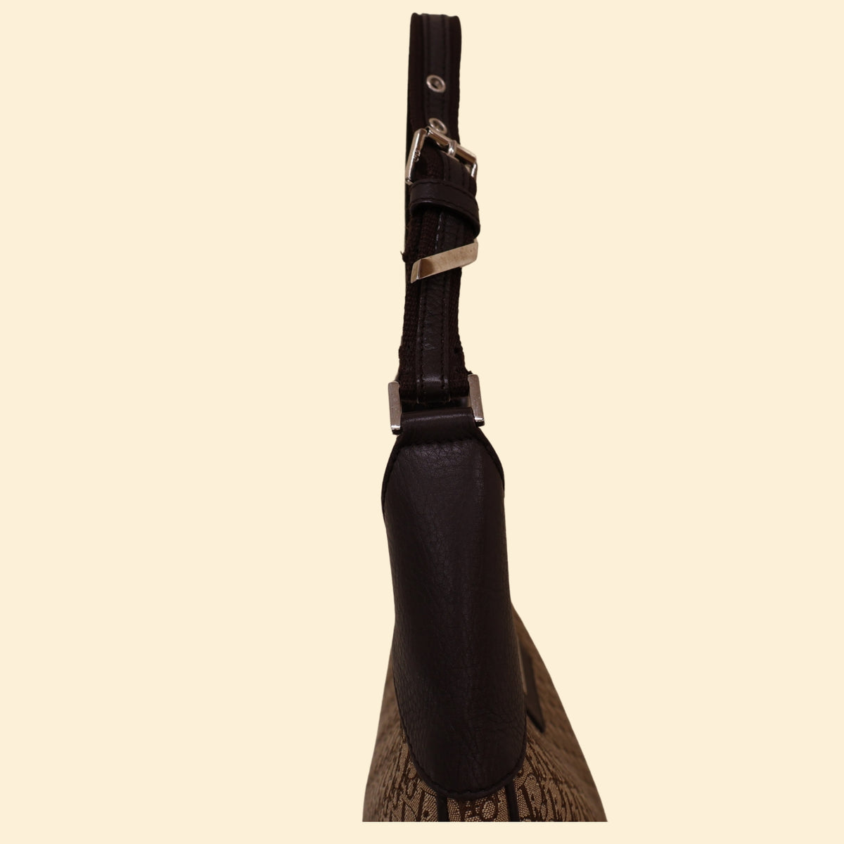 Dior Diorissimo Trotter Canvas Shoulder Hobo Bag